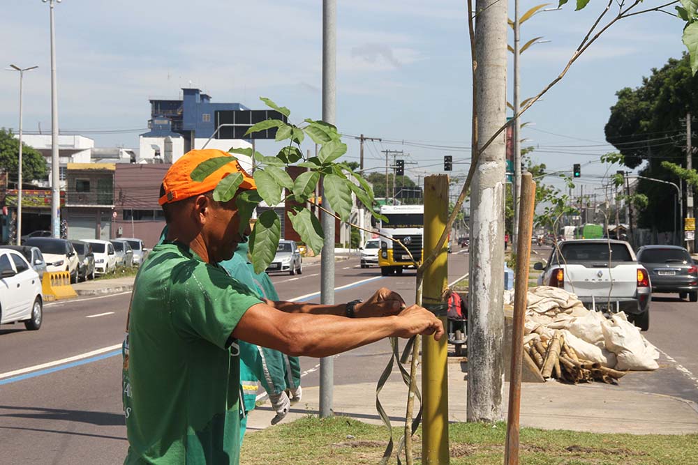 Projeto de arborização realiza plantio em avenida de Manaus