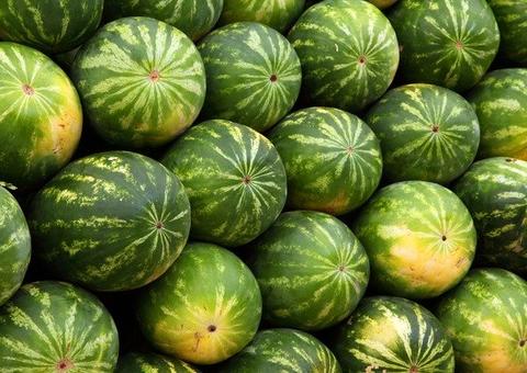 Feira de produtos regionais da Nilton Lins inaugura nesta quarta