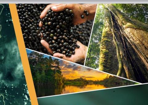 fesPIM tem lançamento de livro sobre floresta nesta quinta-feira em Manaus