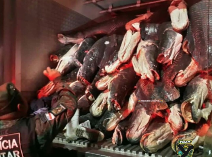 Caminhão com mais de 9 toneladas de pirarucu ilegal é apreendido em Manaus