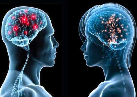 Mulheres têm cérebros mais ativos do que homens