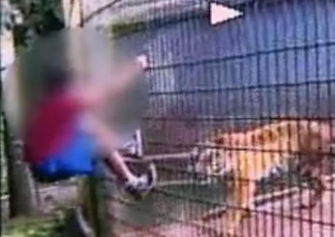 Pai de menino que teve braço amputado após ser atacado por tigre é condenado