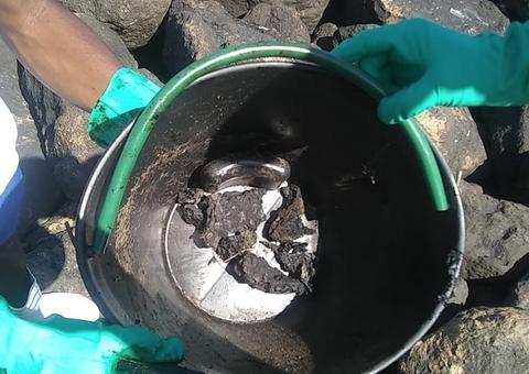 Amostras de peixe apresentam níveis de contaminação por óleo