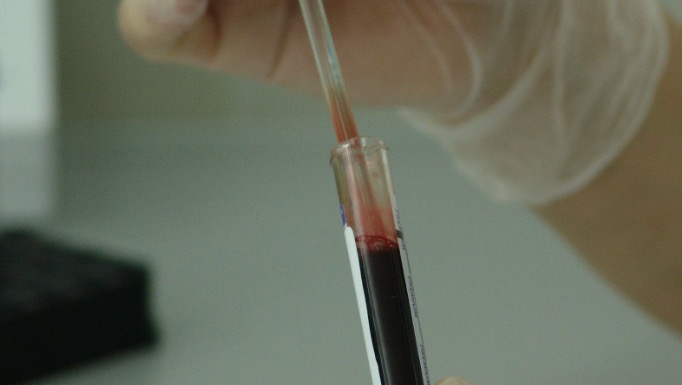 Criança poderá fazer teste de paternidade com DNA de parentes