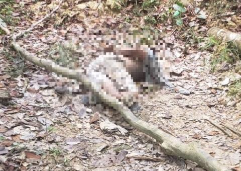 Com mãos amarradas e fio enrolado no pescoço, homem é achado morto na AM-010