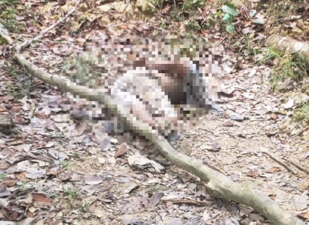 Com mãos amarradas e fio enrolado no pescoço, homem é achado morto na AM-010