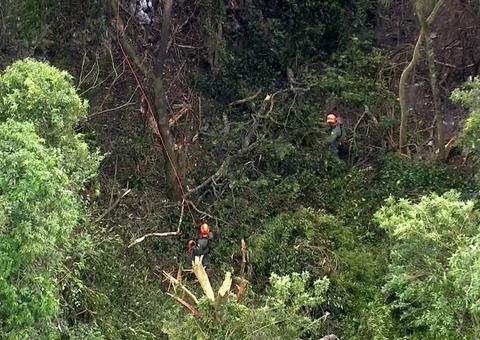 Corpo é achado perto de avião que caiu na Serra da Cantareira, em São Paulo 