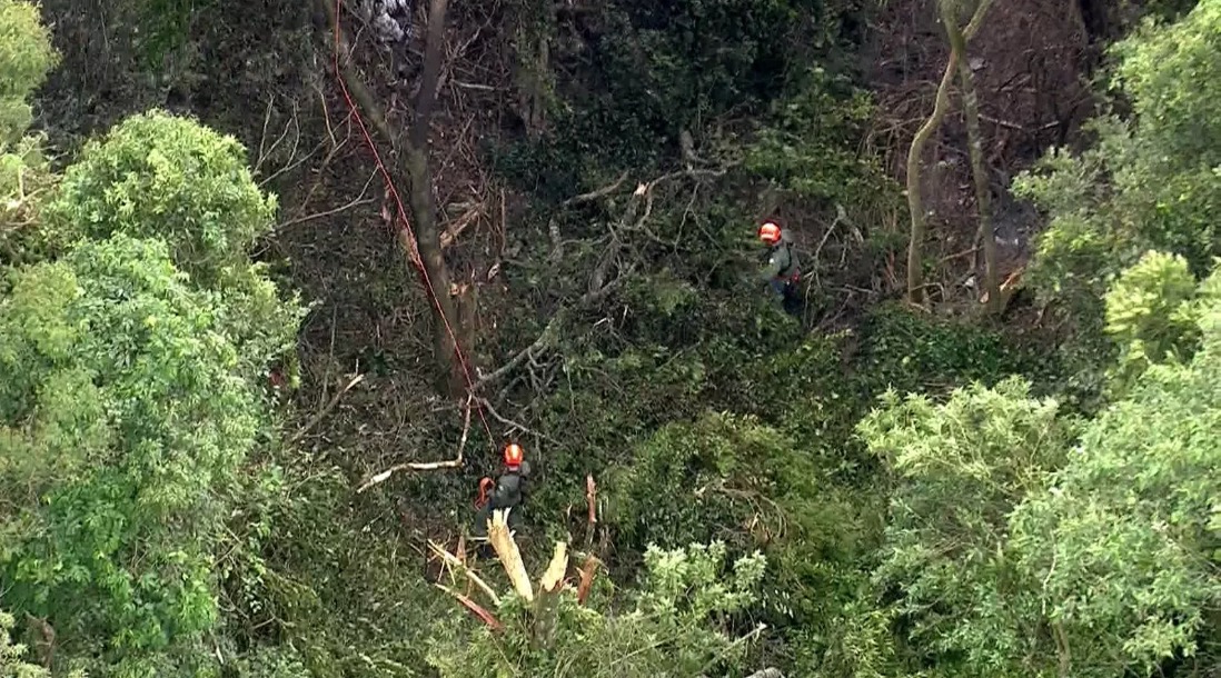 Corpo é achado perto de avião que caiu na Serra da Cantareira, em São Paulo 