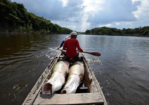 'Raízes': Livro que retrata o cotidiano dos povos indígenas é lançado em Manaus