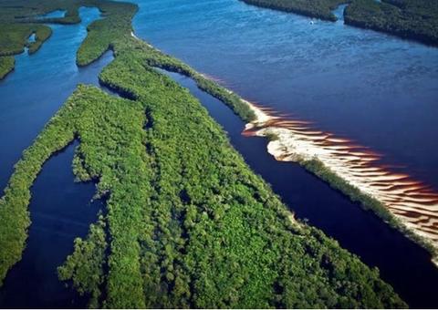 Amazonas é autorizado a captar recursos no exterior por manter a floresta conservada
