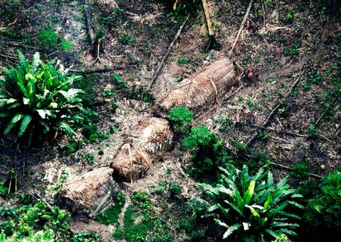 Moro envia Força Nacional a terra indígena no Amazonas