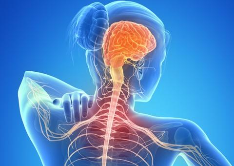 Esclerose múltipla afeta cerca de 40 mil brasileiros; saiba mais sobre a doença