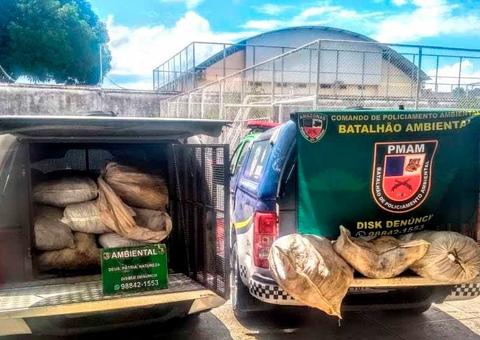 Uma tonelada de pescado ilegal e três quelônios são apreendidos no Porto de Manaus