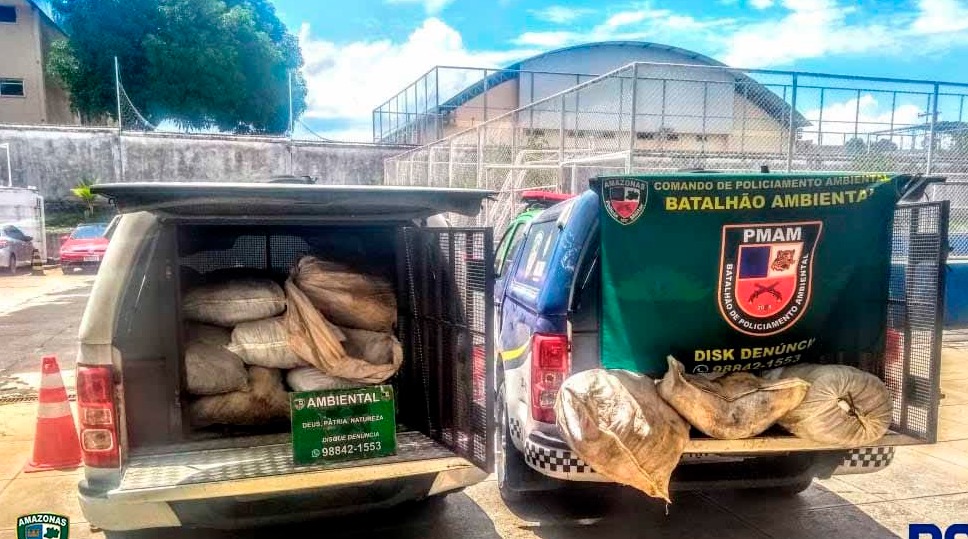 Uma tonelada de pescado ilegal e três quelônios são apreendidos no Porto de Manaus