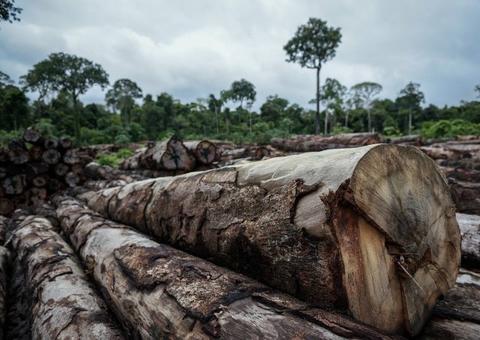 AGU cobra aplicação de R$ 169,7 milhões de multas ambientais no Amazonas