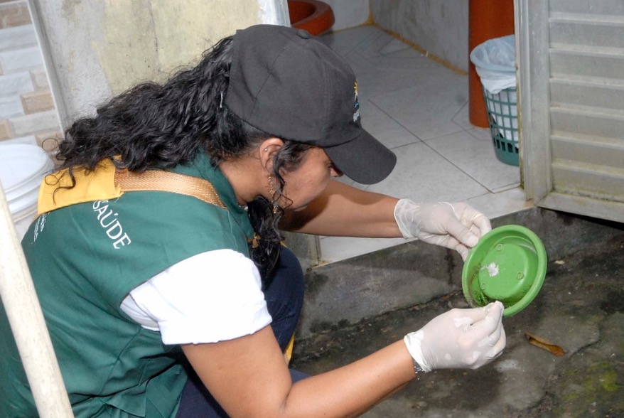 Doze bairros de Manaus são retirados da situação de alto risco para Aedes Aegipty