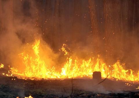 Amazonas tem aumento de 245% no número de queimadas neste início de dezembro 