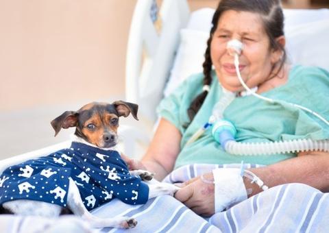 Pacientes em hospitais poderão receber visita de animal de estimação