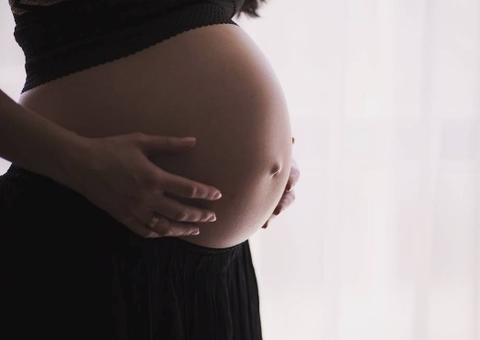 Amazonas registra 10 mortes de fetos afetados pelo zika vírus 