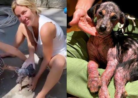 Após um mês, Giovanna Ewbank mostra evolução de cadela adotada pela família