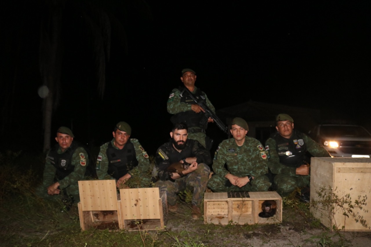 Animais silvestres são devolvidos à natureza no Amazonas 