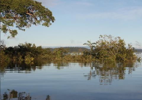 No Amazonas, homem embriagado cai em lagoa e tem rosto devorado por peixes 