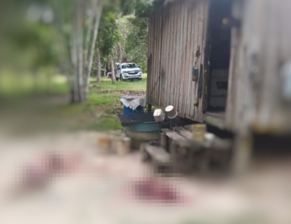 Degolado, 'Goiano' é encontrado na frente de casa em comunidade rural no Amazonas