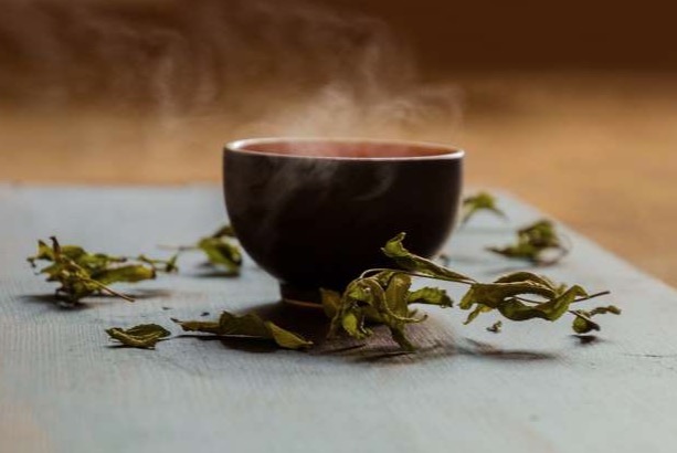 Conheça as 4 plantas que ajudam a queimar gordura abdominal