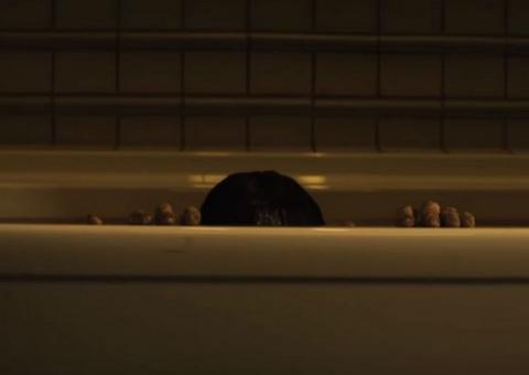 Novo O Grito ganha clipe sinistro; assista