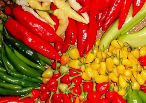 Evite explosão e incêndio: 18 itens para jamais colocar no micro-ondas