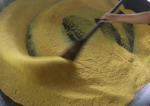 Farinha de mandioca gera renda de R$ 4,5 milhões no Amazonas 