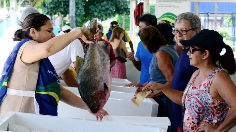 Confira os dias de funcionamento das Feiras de Produtos Regionais no mês de dezembro