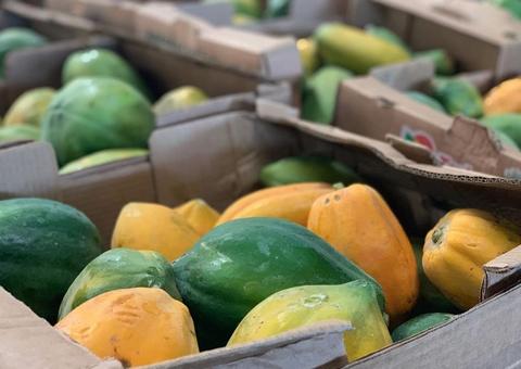 Aberto edital para Programa de Regionalização da Merenda Escolar no Amazonas