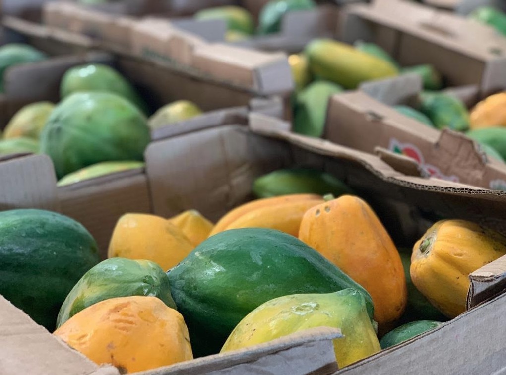 Aberto edital para Programa de Regionalização da Merenda Escolar no Amazonas