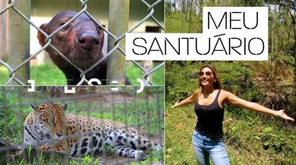 Luísa Mell compra floresta de 1 milhão de m² para abrigar animais resgatados