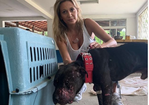 Luisa Mell resgata mais um animal de rinha de cães