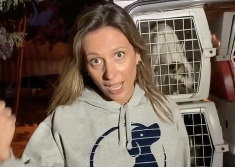 'Não adianta chorar pelo pitbull e comer Peru' no natal, diz ativista