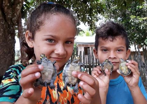 Mais de 2 mil quelônios são soltos em rio no Amazonas