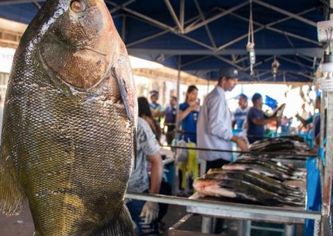 Tefé é o município onde mais se consome peixe no Amazonas, diz instituto 