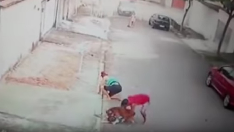 Após gesto heróico, homem que salvou garotinho de pitbull recebe presente inesperado