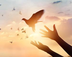 Meu mundo não existiria sem você