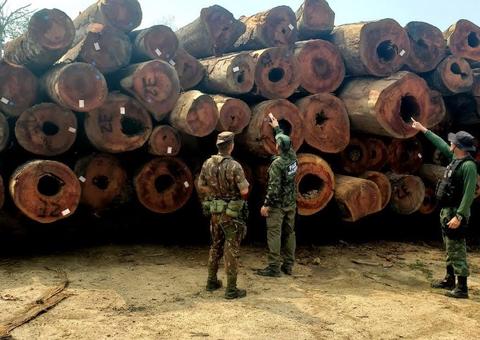 No Amazonas, fiscalização ambiental aumenta e arrecada R$ 19,9 milhões em multas