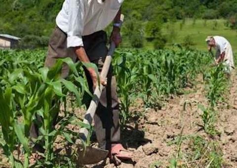 Crédito rural tem taxas de juros reduzidas na Caixa