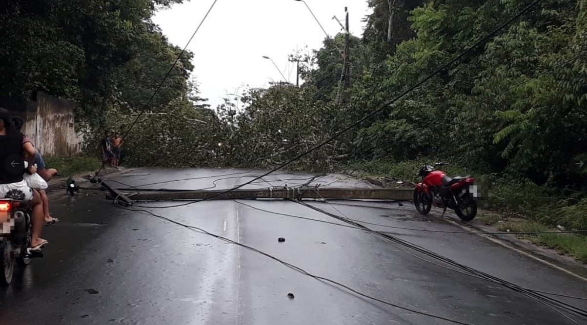 Árvore e poste caem e fecham avenida após chuva em Manaus