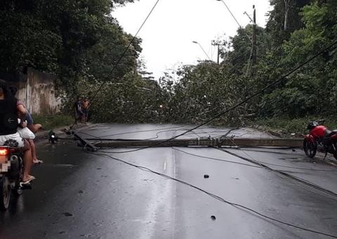 Árvore e poste caem e fecham avenida após chuva em Manaus