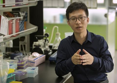 China condena cientista que alterou DNA de bebês