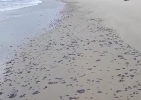 Manchas de óleo voltam a aparecer no litoral cearense após dois meses