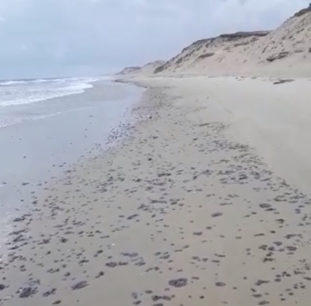 Manchas de óleo voltam a aparecer no litoral cearense após dois meses