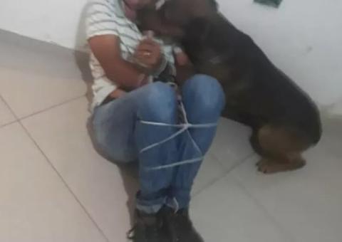 Homem não aceita separação e amarra sogro para ser atacado por pitbull 