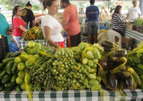 Feira de produtos regionais na Nilton Lins retorna na próxima quarta-feira
